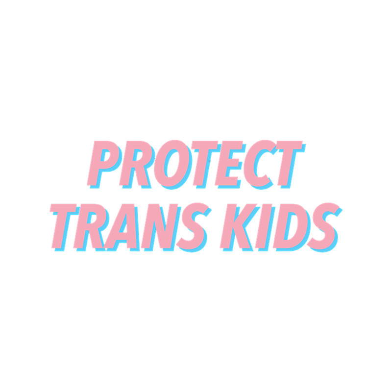 PROTECT TRANS KIDS.png