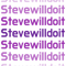 Stevewilldoit .png