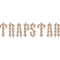 Best Selling Trapstar Print .png