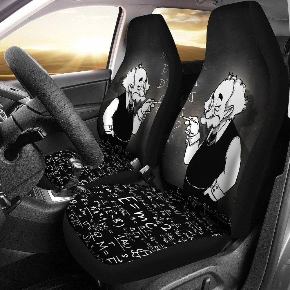 funny_einstein_car_seat_covers_love_math_1sqyzyfuzw.jpg
