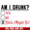 FN000481-Am I drunk yes no bitch I might be svg, png, dxf, eps file FN000481.jpg