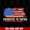 FTD08062119-Promoted to papaw American flag father’s day 2021 svg, png, dxf, eps digital file FTD08062119.jpg