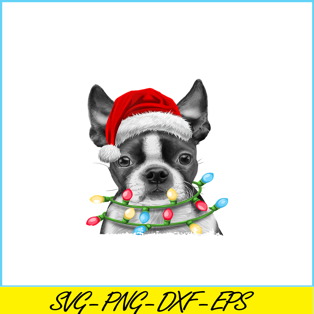 PNG141023106-Boston Terrier Santa Christmas Tree Lights Xmas Gifts Boys T-Shirt Png.png