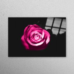 Glass Wall Decor, Glass Printing, Wall Decoration, Pink Rose Photography, Rose Lover Gift Glass Art, Rose Wall Decoratio