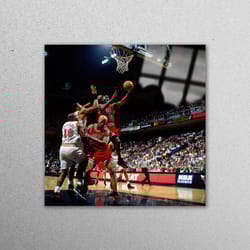 glass wall decor, wall decor, wall art, michael jordan and slam dunk, gym wall art, sport wall decoration, michael jorda