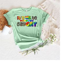it's okay to say gay pride shirt,equal rights,pride