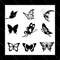 MR-prettysadness-tb150322001-22120241305.jpeg