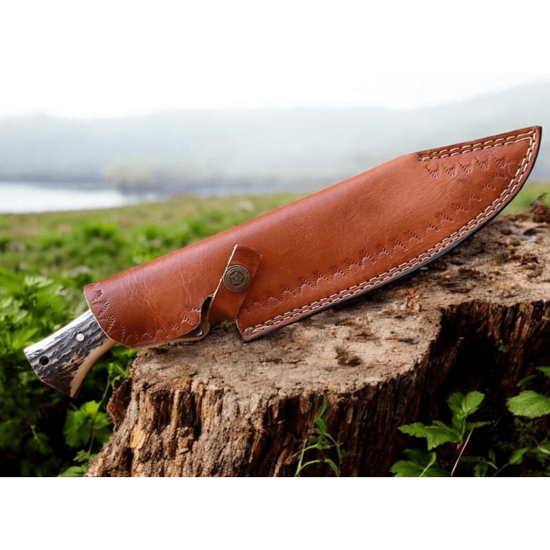 Buy Now Steel Jungle Hunting Bowie Knife