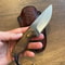 Full Tang Skinning Knife With Premium N690 Steel Walnut Wood Grip 7