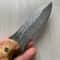Real Damascus Outdoor Knife 150 Layers Blacksmith Made Bushcraft Knife Chestnut Wood Handle 1