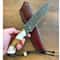 Blacksmith Style Damascus Hunting Knife For Camping Bushcraft Outdoor Adventure 9
