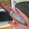 Real Damascus Hunting Knife 150 Layers Full Tang Camping Bushcraft Knife Padauk Wenge Handle 5