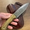 Handmade Damascus Outdoor Knife Green Rosewood Handle Hunting Survival Blade 8