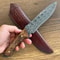 Damascus Bushcraft Hunting Knife With Chestnut Wood Handle Leather Sheath 7
