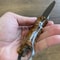 Handmade Damascus EDC Knife Chestnut Wood Handle Hunting Outdoor Blade 3
