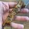 Handmade Damascus EDC Knife Chestnut Wood Handle Hunting Outdoor Blade 7