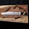 Handmade Predator Bowie Knife D2 Steel Tactical Outdoor Blade 5