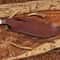 Premium Damascus Hunting Bowie Knife Built For Wilderness Performance 1