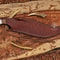 Premium Damascus Hunting Bowie Knife Built For Wilderness Performance 1