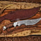 Premium Damascus Hunting Bowie Knife Built For Wilderness Performance 0