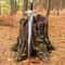 Handmade Medieval Fantasy Sword 36 Inch Decorative Collector Display Piece 3