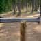 Hand Forged Konda Sword High Carbon Steel With Rosewood Handle Leather Sheath Wedding GIFT 3