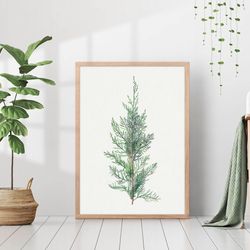 vintage japanese woodblock bird asian antique vibrant colorful art golden pheasant animal canvas print poster frame pain