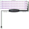 Indoor LED Grow Light USB DC5V Timer Phyto Lamp Full Spectrum Dimmable LED Light For Plants Hydrop 4