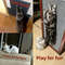 Wall Mounted Cat Scratching Pad Durable Cuttable NonSlip SelfAdhesive Cat Scratching Board  Indoor  1