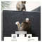Wall Mounted Cat Scratching Pad Durable Cuttable NonSlip SelfAdhesive Cat Scratching Board  Indoor  2