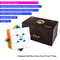 Pyraminx SpeedCubing Magnetic Speed Cube BrainTeaser Kids Toy DIY Puzzle With Level Tension Fidget 8
