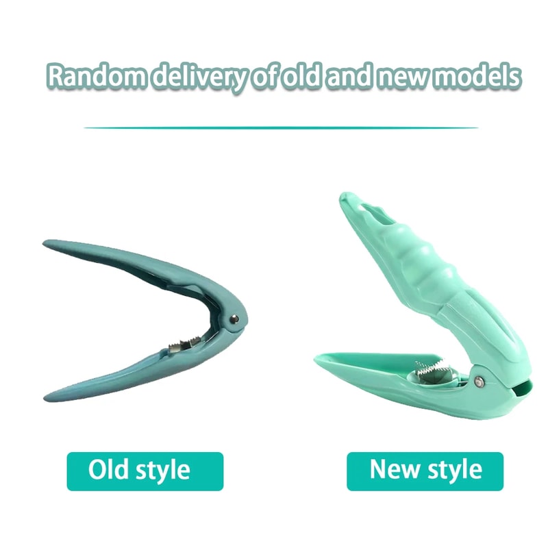 Stainless Steel Chestnut Cutter Nut Cracker Tool For Easy Shelling 2