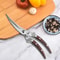 Multi Purpose Poultry Shears and Kitchen Scissors with Fish Scaler