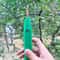Portable Fruit Picking Scissors For Peppers Berries And Garden Harvesting 5