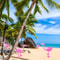 Piece Pink Flamingo Pool Toys for Tropical Party Decor