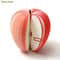 Apple Sticky Notes Memo Pad Cute Fruit Desk Accessory