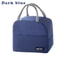 Solid Color Insulated Bento Lunch Bag For Work School Travel 8
