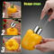 Stainless Steel Fruit Corer and Pepper Seed Remover Tool