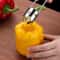 Stainless Steel Fruit Corer and Pepper Seed Remover Tool