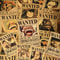 One Piece Wanted Poster Stickers Anime Decal Pack
