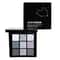 Black Swan Shade Smoky Eyeshadow Palette with Matte and Silver Glitter Shades
