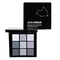 Black Swan Shade Smoky Eyeshadow Palette with Matte and Silver Glitter Shades