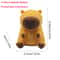 Cute Capybara Squeeze Toy Stress Relief Pinch Fidget Gift 1