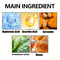 Turmeric Bee Venom Cracked Heel Cream For Dry Hands And Feet 2