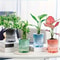 Self Watering Hydroponic Flower Pot Automatic Double Layer Planter For Effortless Indoor Plant Care 0