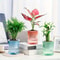 Self Watering Hydroponic Flower Pot Automatic Double Layer Planter For Effortless Indoor Plant Care 1