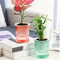 Self Watering Hydroponic Flower Pot Automatic Double Layer Planter For Effortless Indoor Plant Care 2