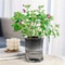 Self Watering Hydroponic Flower Pot Automatic Double Layer Planter For Effortless Indoor Plant Care 6