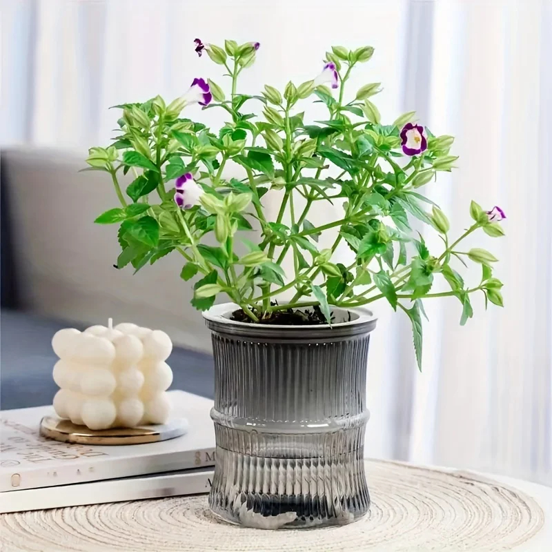 Self Watering Hydroponic Flower Pot Automatic Double Layer Planter For Effortless Indoor Plant Care 6
