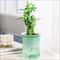 Self Watering Hydroponic Flower Pot Automatic Double Layer Planter For Effortless Indoor Plant Care 3
